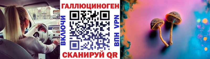что такое наркотик  Андреаполь  Галлюциногенные грибы MAGIC MUSHROOMS 